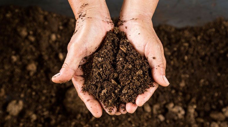 Breathe life back into your soil with revive recycled compost.