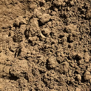 Sandy Loam Soil